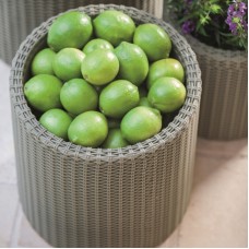 KETER. Ghiveci cilindric gri Cylinder M, 18L..